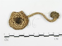 登錄號:F0016132藏品圖，第1張