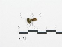 登錄號:F0016134藏品圖，第1張
