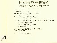 登錄號:F0016136藏品圖，第2張