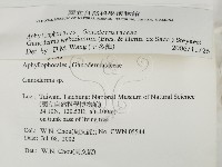 登錄號:F0016137藏品圖，第2張