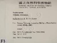 登錄號:F0016139藏品圖，第2張