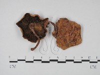 登錄號:F0016139藏品圖，第3張