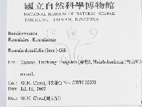登錄號:F0016143藏品圖，第2張