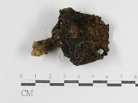 登錄號:F0016143藏品圖，第1張