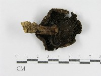 登錄號:F0016143藏品圖，第3張