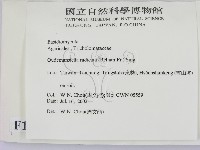登錄號:F0016144藏品圖，第2張