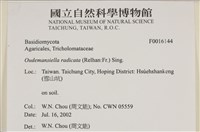 登錄號:F0016144藏品圖，第4張