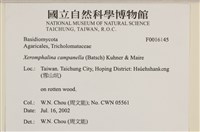 登錄號:F0016145藏品圖，第4張