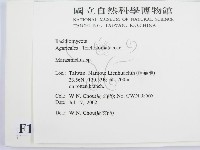 微皮傘屬藏品圖，第2張