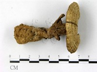 登錄號:F0016150藏品圖，第1張