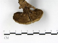 登錄號:F0016150藏品圖，第4張