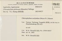 登錄號:F0016151藏品圖，第4張