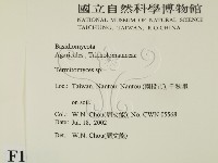 登錄號:F0016152藏品圖，第2張