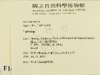 登錄號:F0016155藏品圖，第2張
