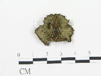 登錄號:F0016156藏品圖，第1張