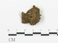 登錄號:F0016156藏品圖，第3張