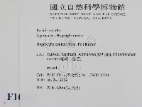 登錄號:F0016157藏品圖，第2張