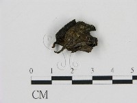 登錄號:F0016157藏品圖，第1張
