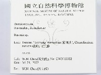 紅菇屬藏品圖，第2張
