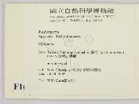 小菇屬藏品圖，第2張