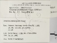 登錄號:F0016163藏品圖，第2張