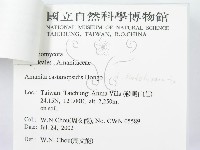 登錄號:F0016163藏品圖，第3張