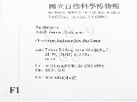 登錄號:F0016167藏品圖，第2張