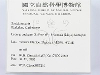 登錄號:F0016171藏品圖，第2張