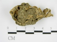 登錄號:F0016171藏品圖，第1張