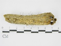 登錄號:F0016171藏品圖，第4張