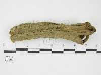 登錄號:F0016171藏品圖，第5張