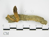 登錄號:F0016171藏品圖，第6張