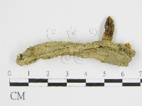 登錄號:F0016171藏品圖，第7張