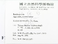 登錄號:F0016172藏品圖，第2張