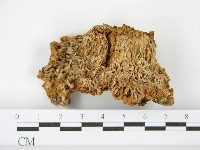 登錄號:F0016173藏品圖，第1張
