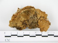 登錄號:F0016173藏品圖，第3張