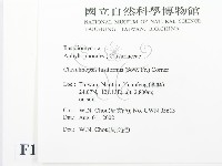 登錄號:F0016174藏品圖，第2張