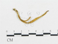 登錄號:F0016174藏品圖，第1張