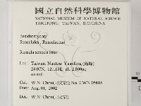 登錄號:F0016175藏品圖，第2張