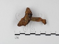 登錄號:F0016175藏品圖，第1張