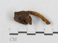 登錄號:F0016175藏品圖，第4張
