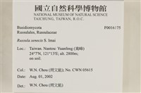 登錄號:F0016175藏品圖，第5張