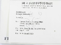 登錄號:F0016176藏品圖，第2張