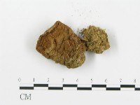 登錄號:F0016177藏品圖，第3張
