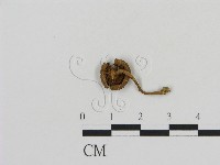 登錄號:F0016178藏品圖，第1張