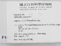 登錄號:F0016179藏品圖，第2張