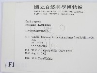 登錄號:F0016181藏品圖，第2張