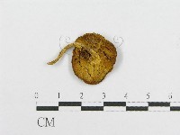 登錄號:F0016182藏品圖，第3張
