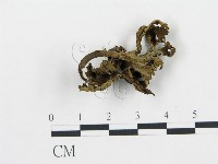 登錄號:F0016188藏品圖，第1張