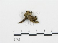 登錄號:F0016188藏品圖，第3張